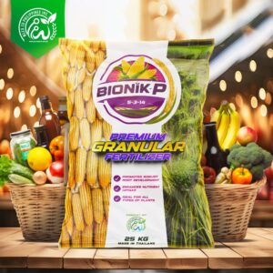 Bionik P
