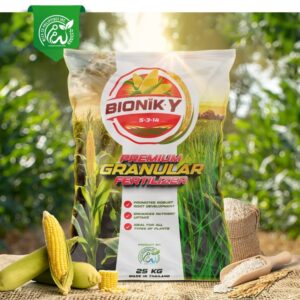 Bionik Y
