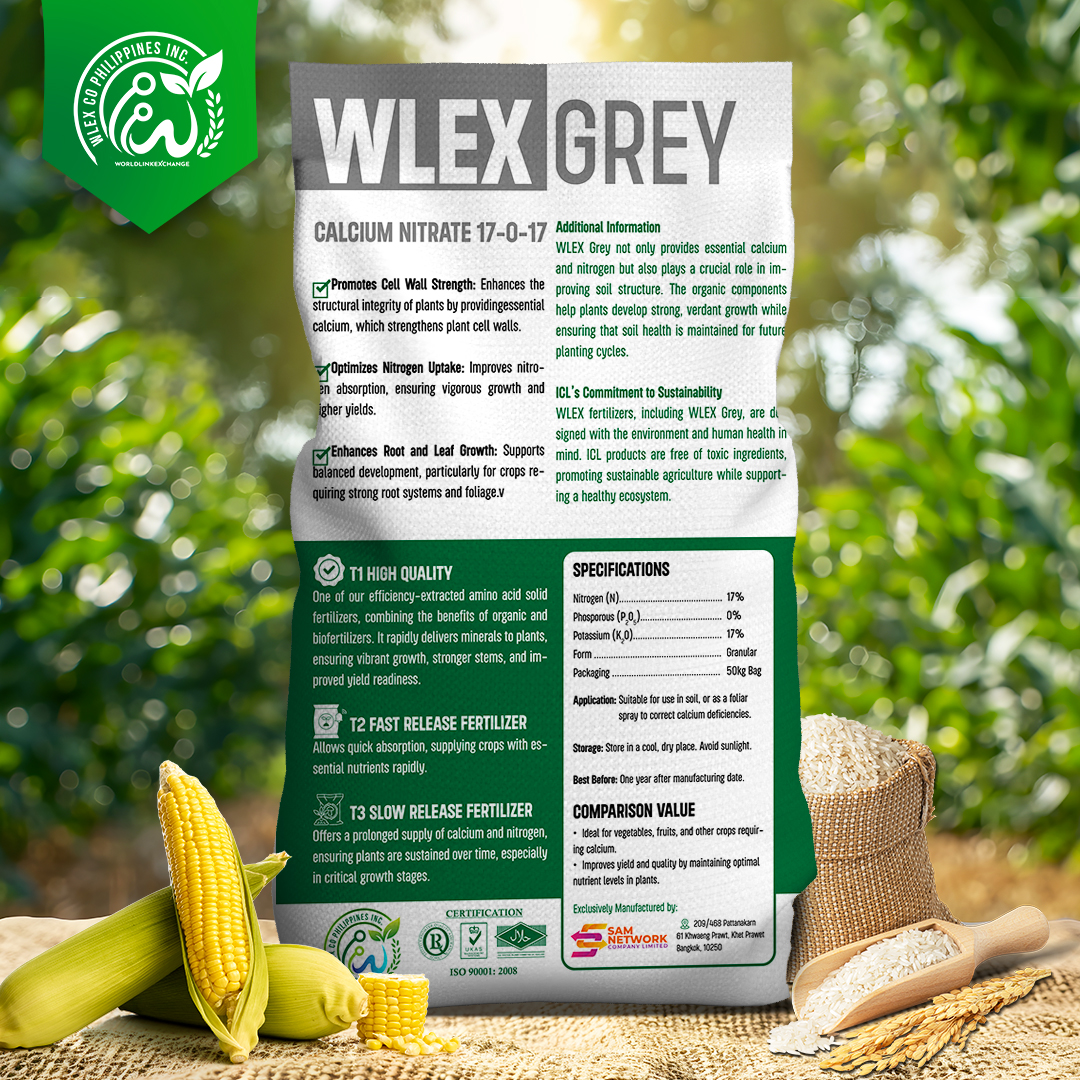 Grey Wonder - Image 3